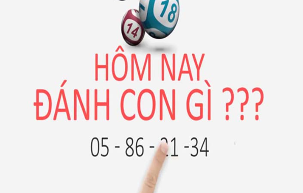 Dự đoán chính xác